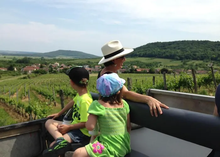 Maison Des Vignerons *