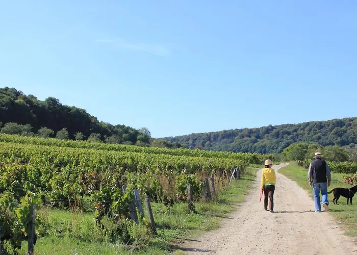 Maison Des Vignerons